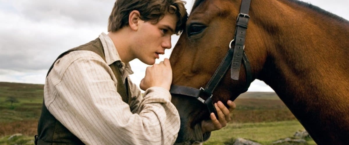 Cavallo e uomo, il cuore batte all'unisono