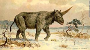 unicorno disegno immagini Unicorno origine e mitologia di questo animale realmente esistito in siberia